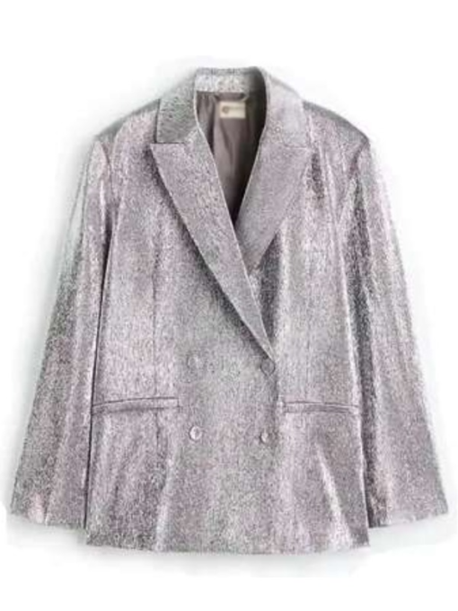 Taylor Swift Silver Blazer