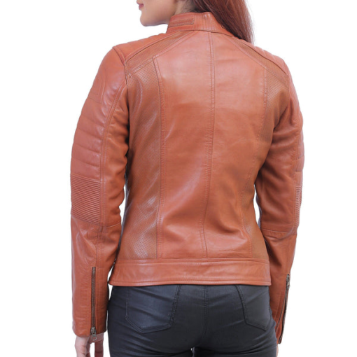 Brown Café Racer Jacket